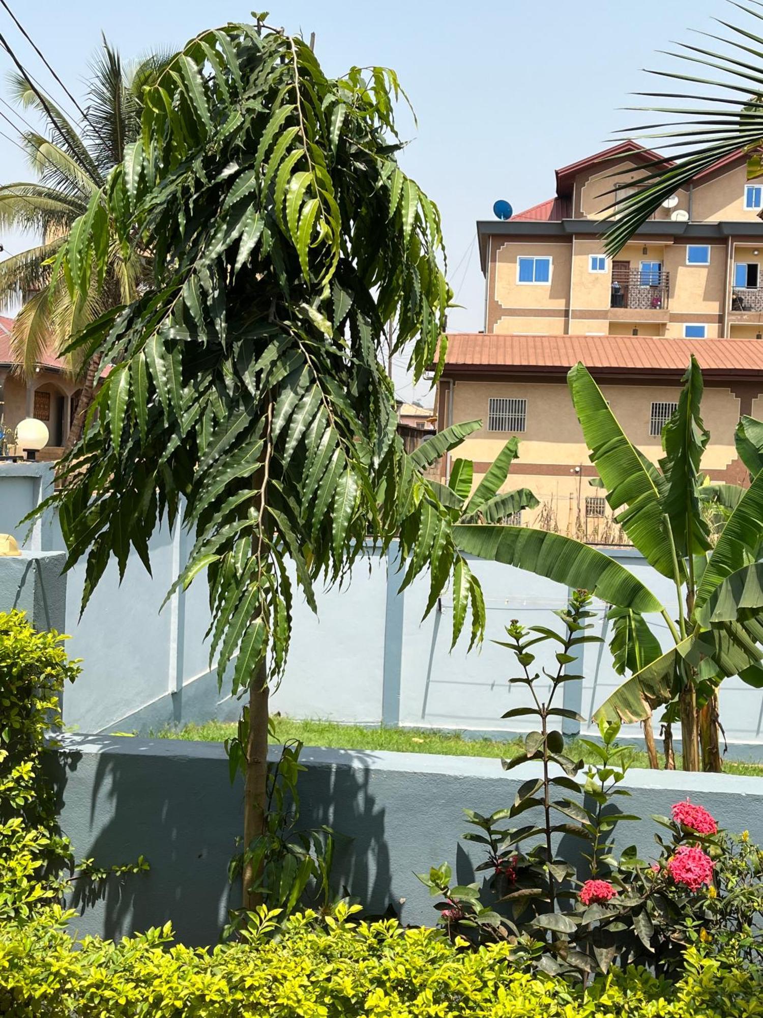 Afan Yaounde Lodge Exterior photo